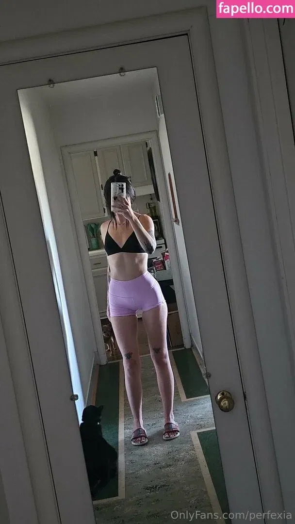 perfexia Onlyfans Photo Gallery 