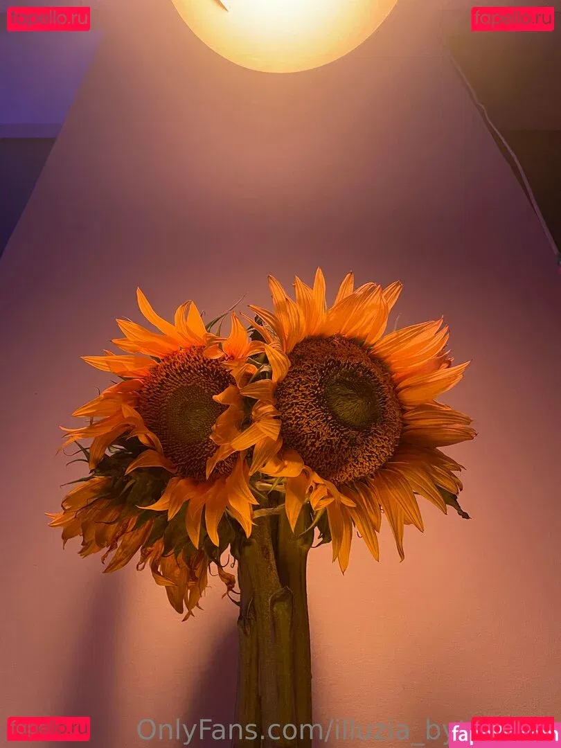 illuzia_bytia_free Onlyfans Photo Gallery 