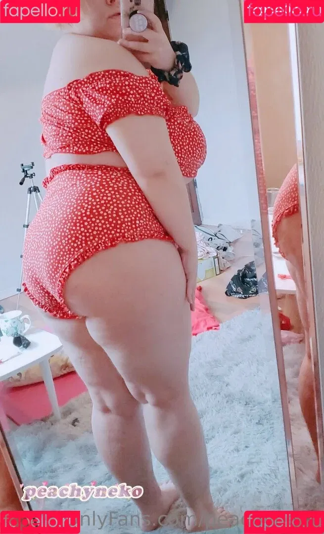 peachyneko Onlyfans Photo Gallery 