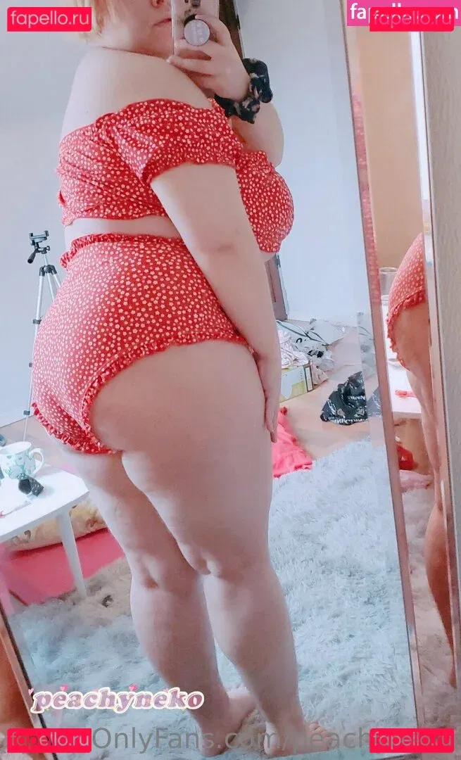 peachyneko Onlyfans Photo Gallery 
