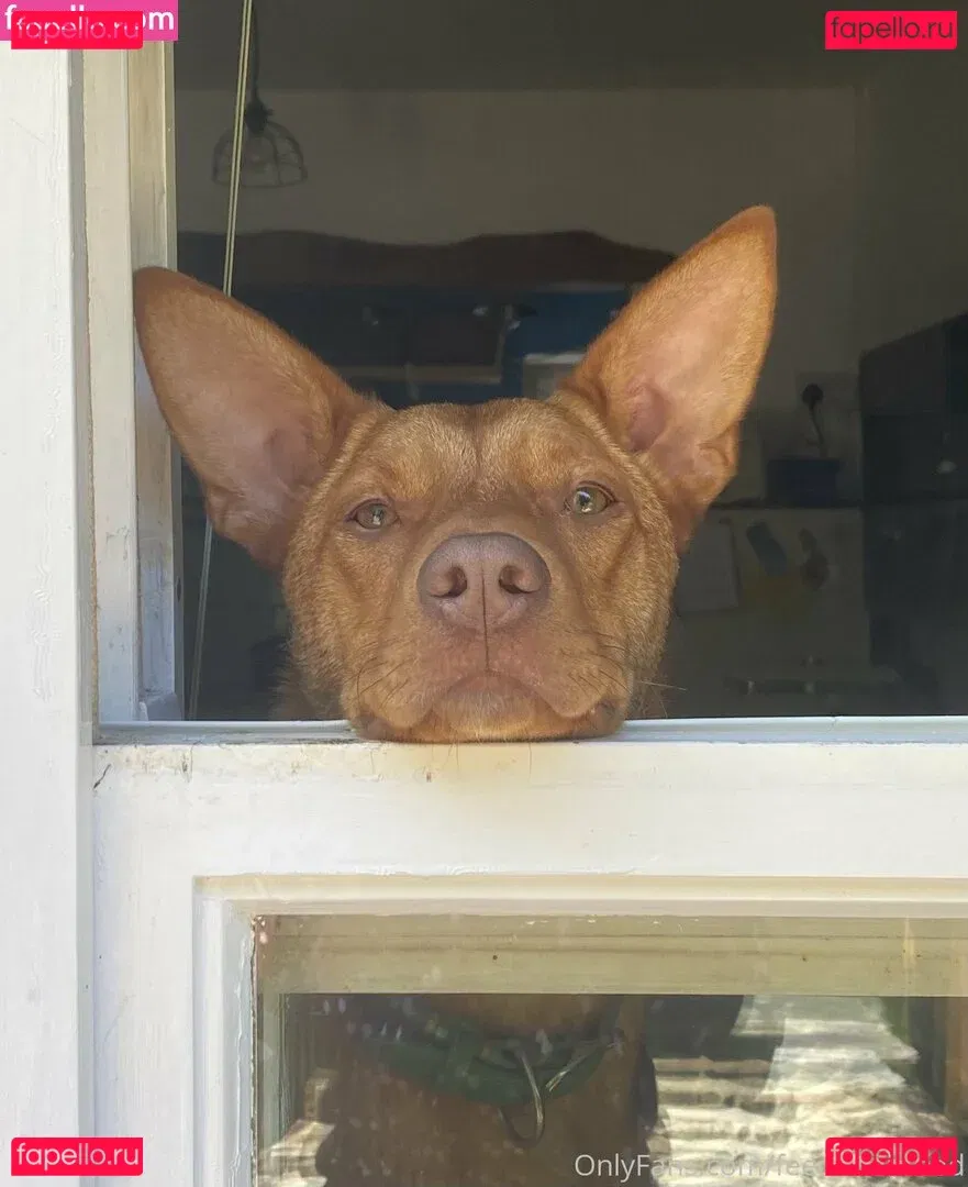 feedandbreed Onlyfans Photo Gallery 