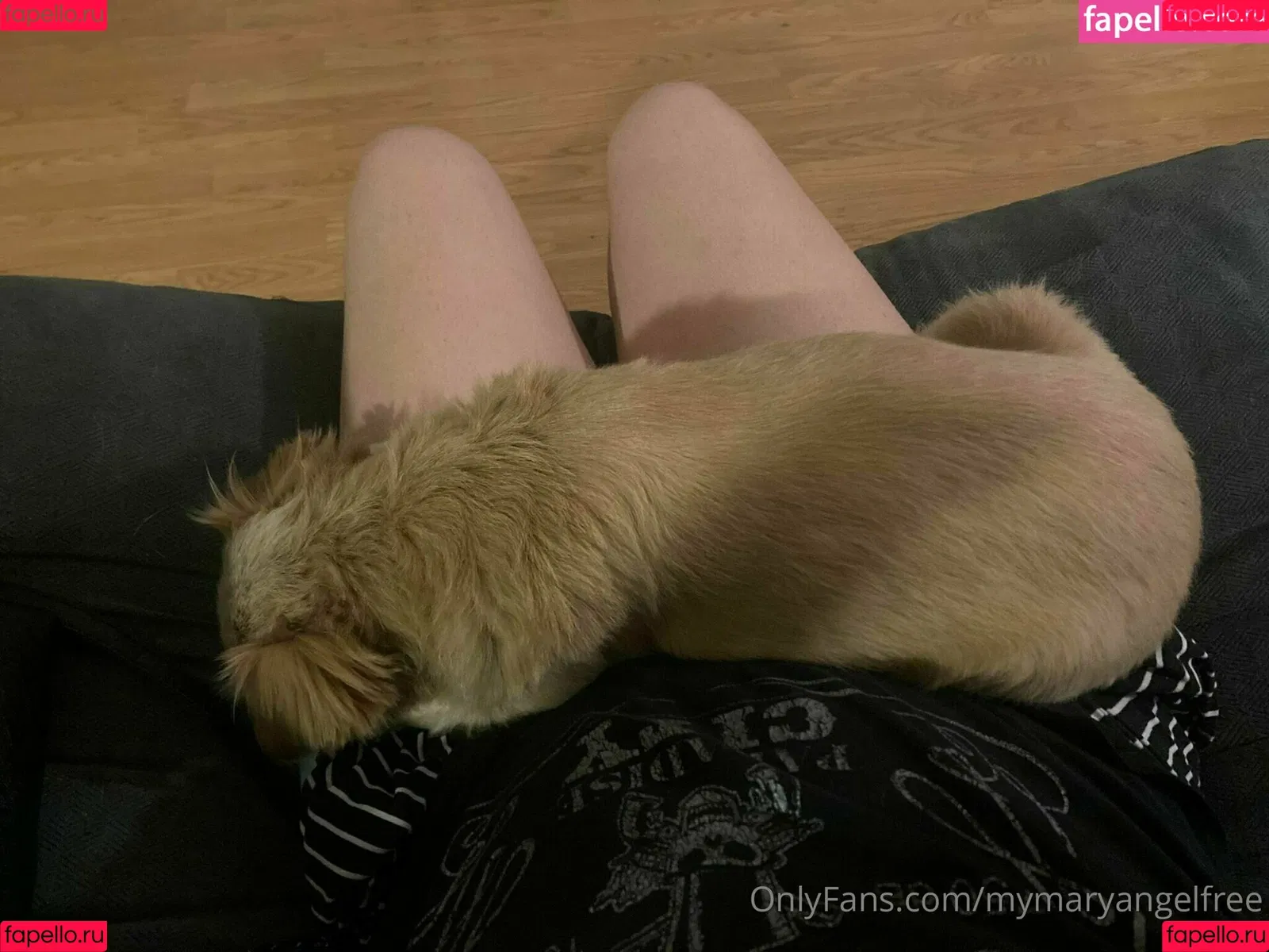 mymaryangell Onlyfans Photo Gallery 