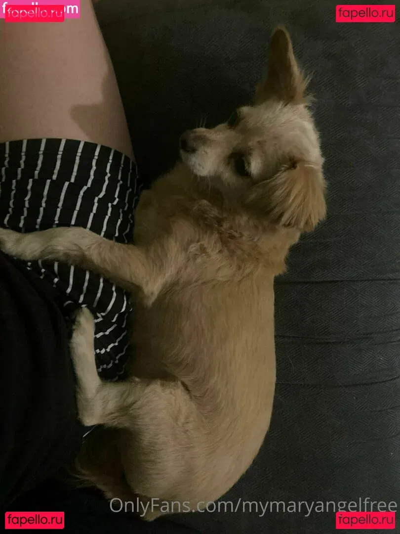 mymaryangell Onlyfans Photo Gallery 