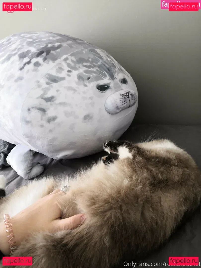 rocketpocket Onlyfans Photo Gallery 