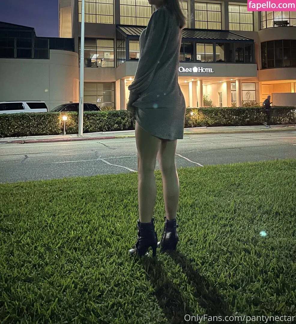 PantyNectar Onlyfans Photo Gallery 