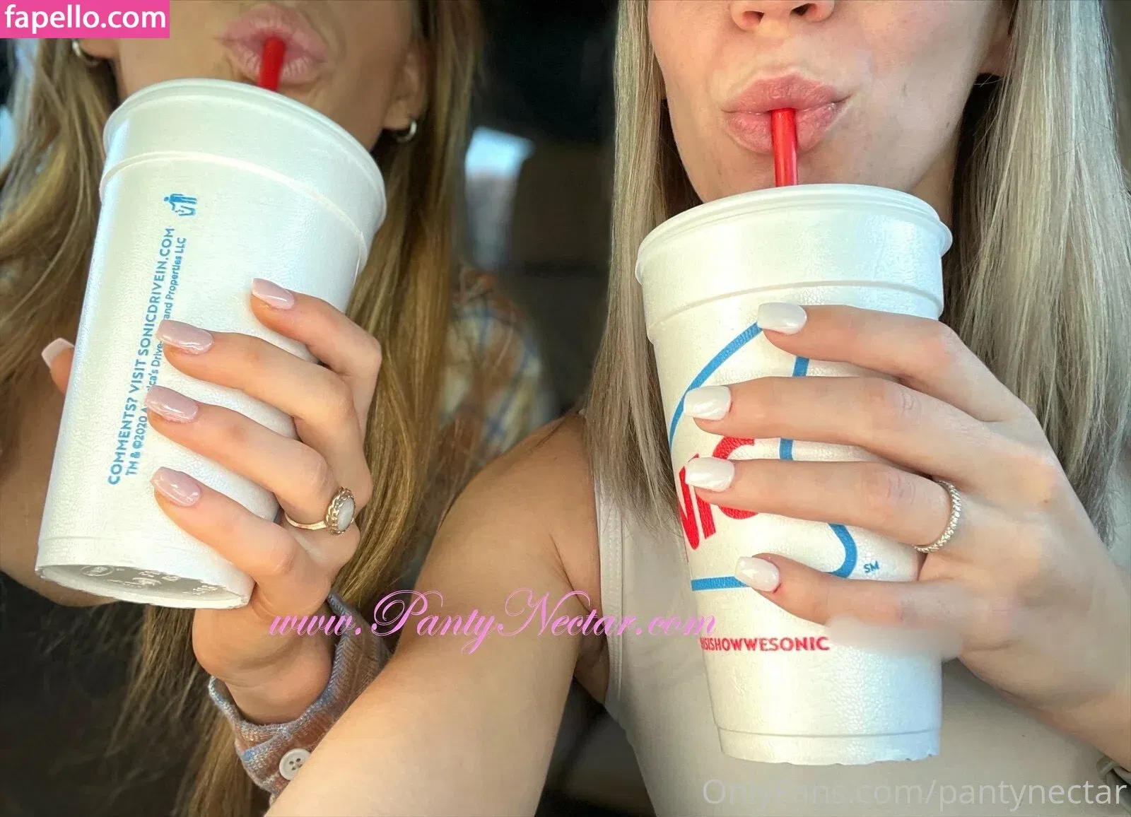 PantyNectar Onlyfans Photo Gallery 