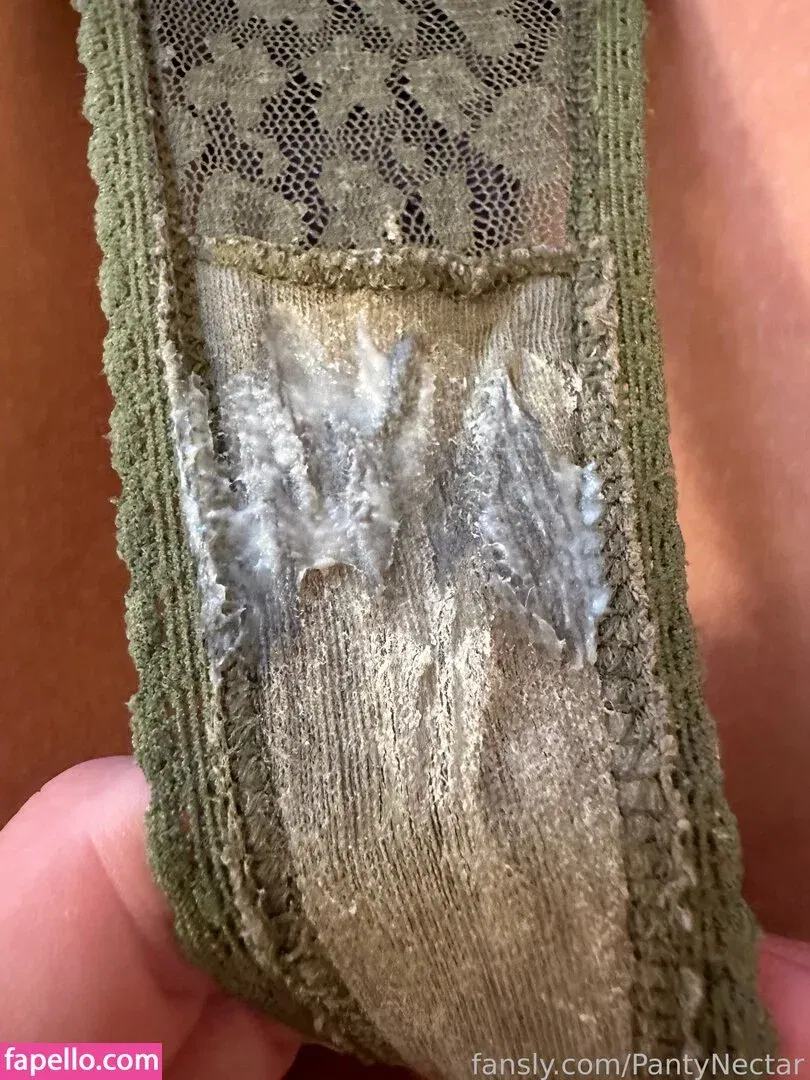 PantyNectar Onlyfans Photo Gallery 