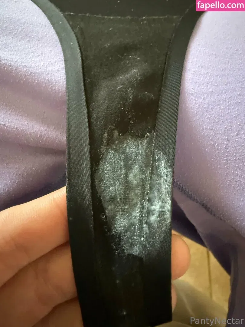 PantyNectar Onlyfans Photo Gallery 