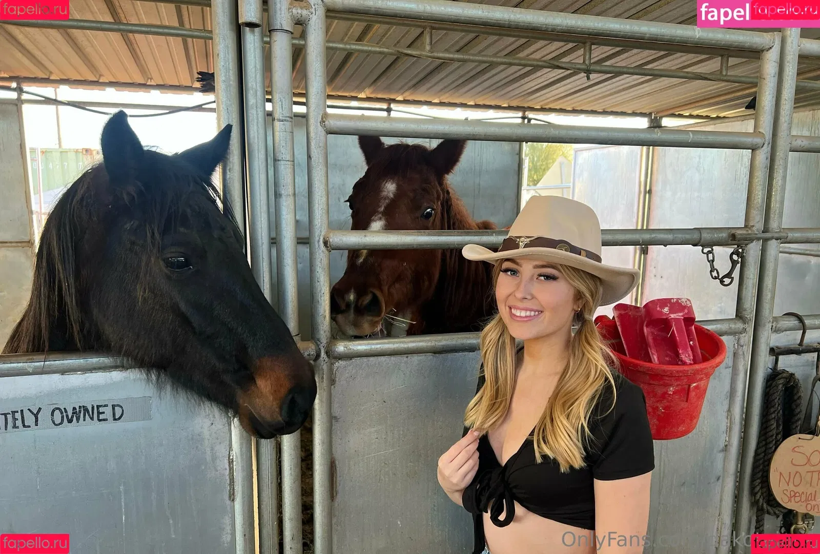 DakotaJane Onlyfans Photo Gallery 