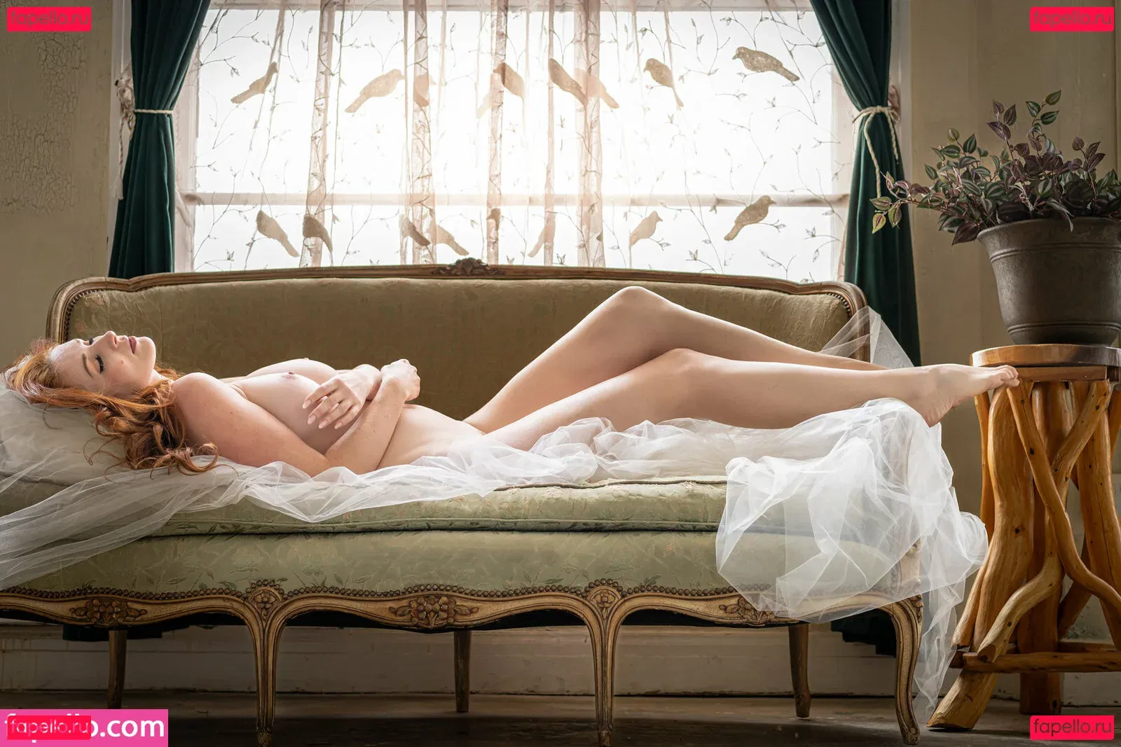 Dane Halo Onlyfans Photo Gallery 