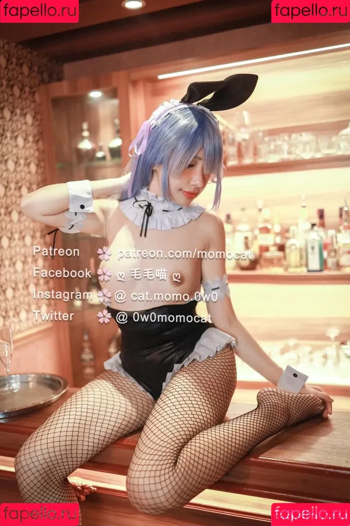 Momocat.0w0 Onlyfans Photo Gallery 
