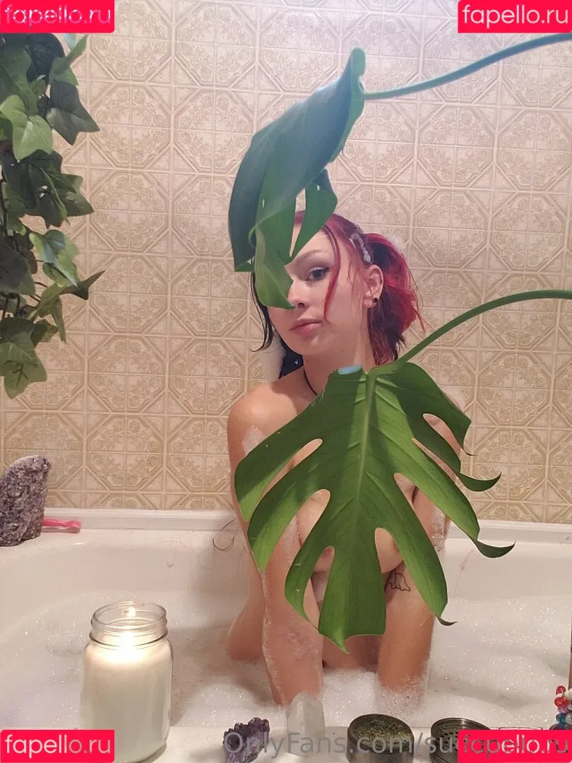 vulpus.fae Onlyfans Photo Gallery 