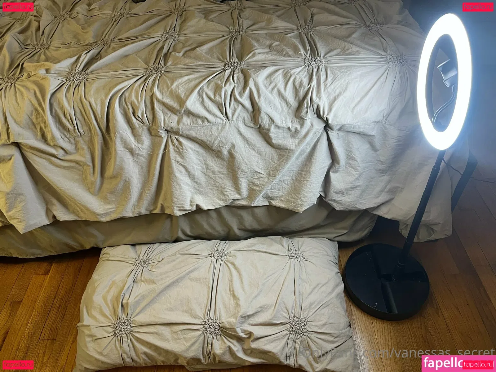 vanessas_secret Onlyfans Photo Gallery 