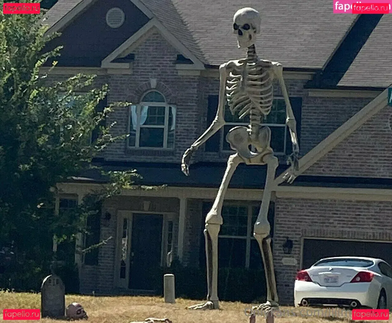 liilmonster Onlyfans Photo Gallery 