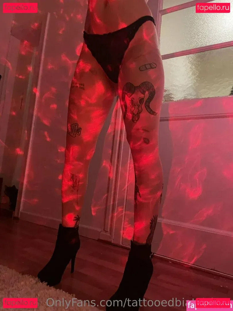 tattooedbiatchfree Onlyfans Photo Gallery 