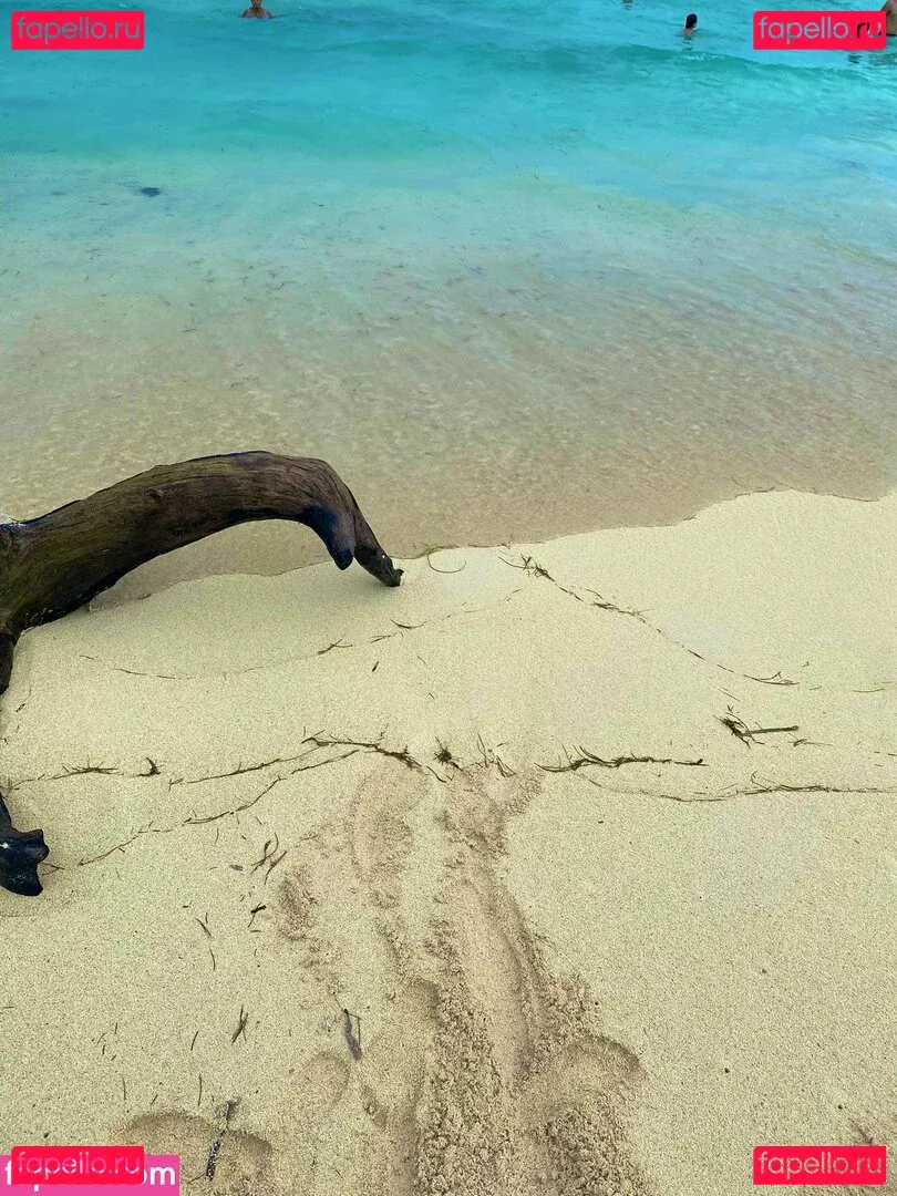 carolcor21 Onlyfans Photo Gallery 