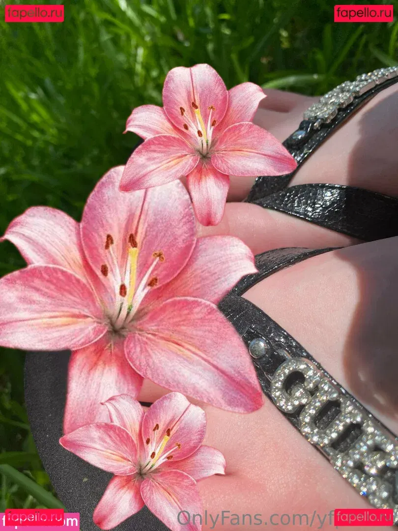 yfpbfree Onlyfans Photo Gallery 