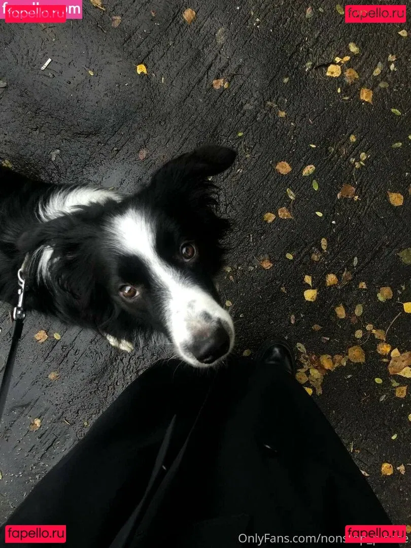 nonstop_please Onlyfans Photo Gallery 