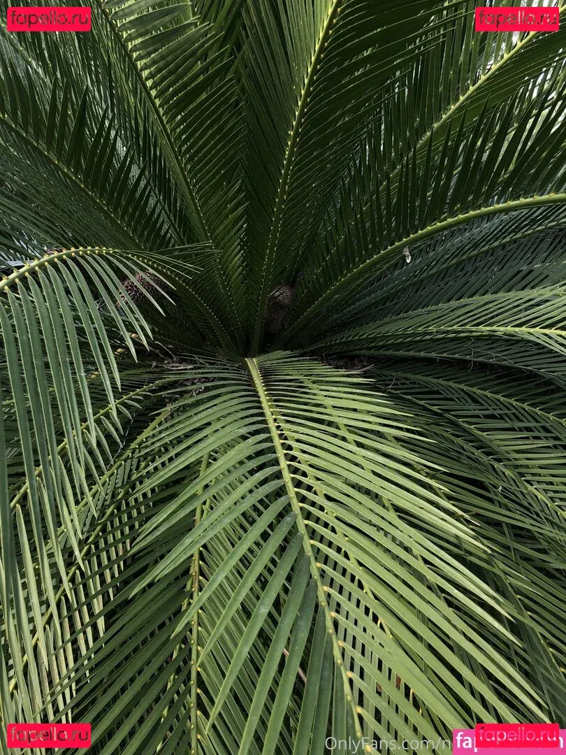 nonstop_please Onlyfans Photo Gallery 