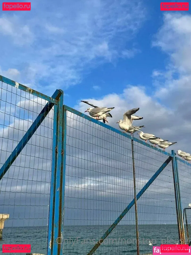 nonstop_please Onlyfans Photo Gallery 