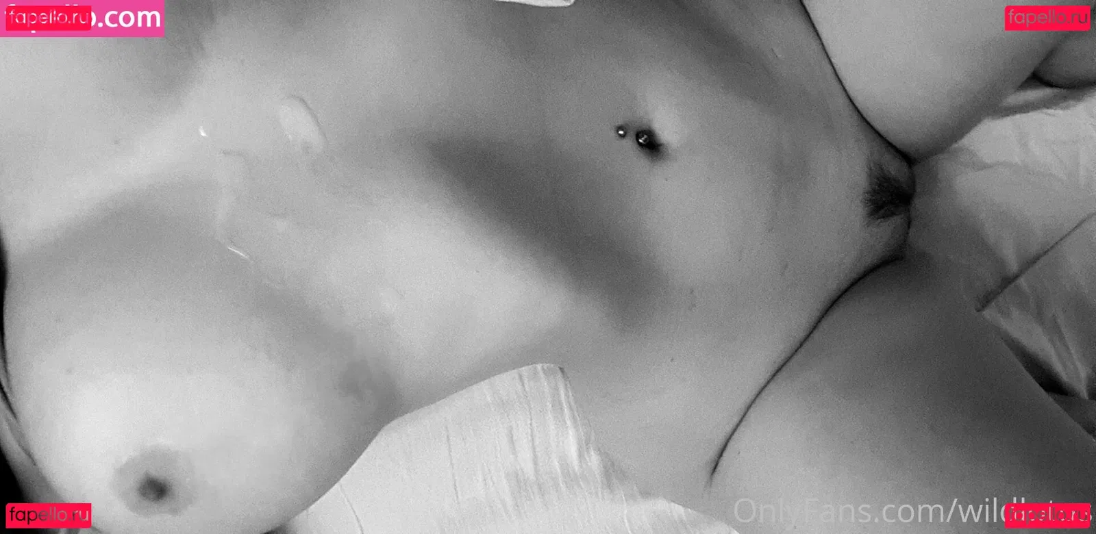 Wildlotus Onlyfans Photo Gallery 