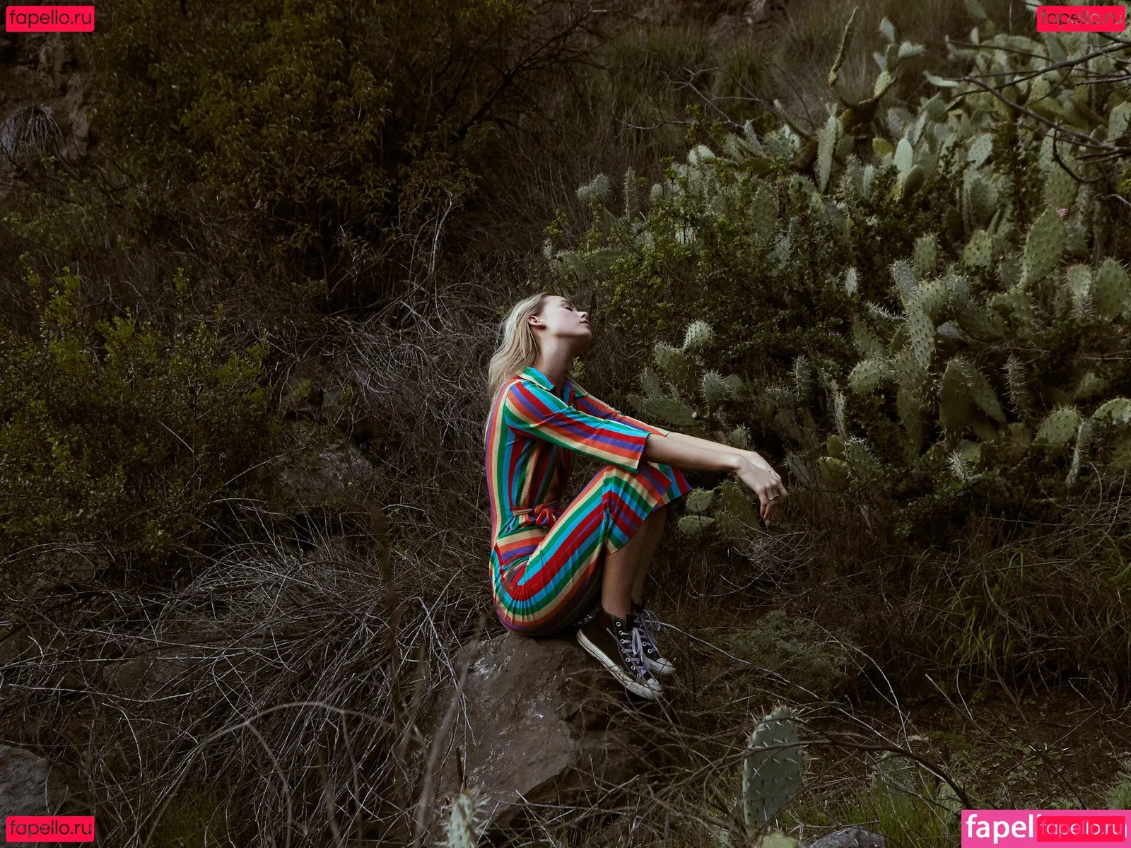 Amberwhite833 Onlyfans Photo Gallery 