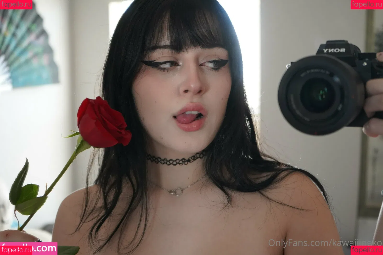 kiyomiii_0 Onlyfans Photo Gallery 