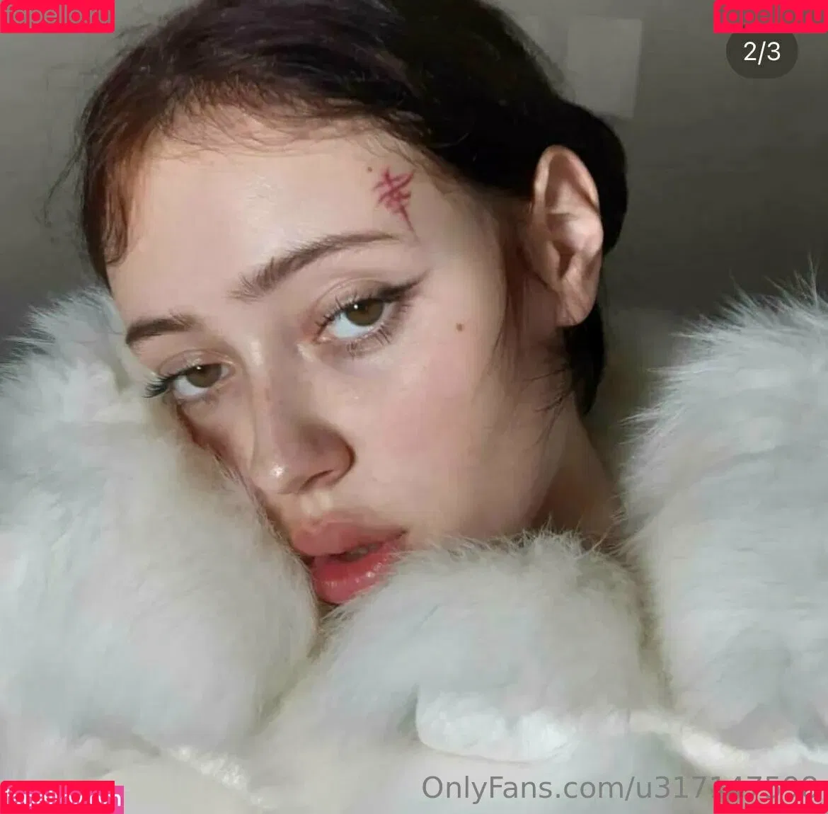 elliemooree Onlyfans Photo Gallery 