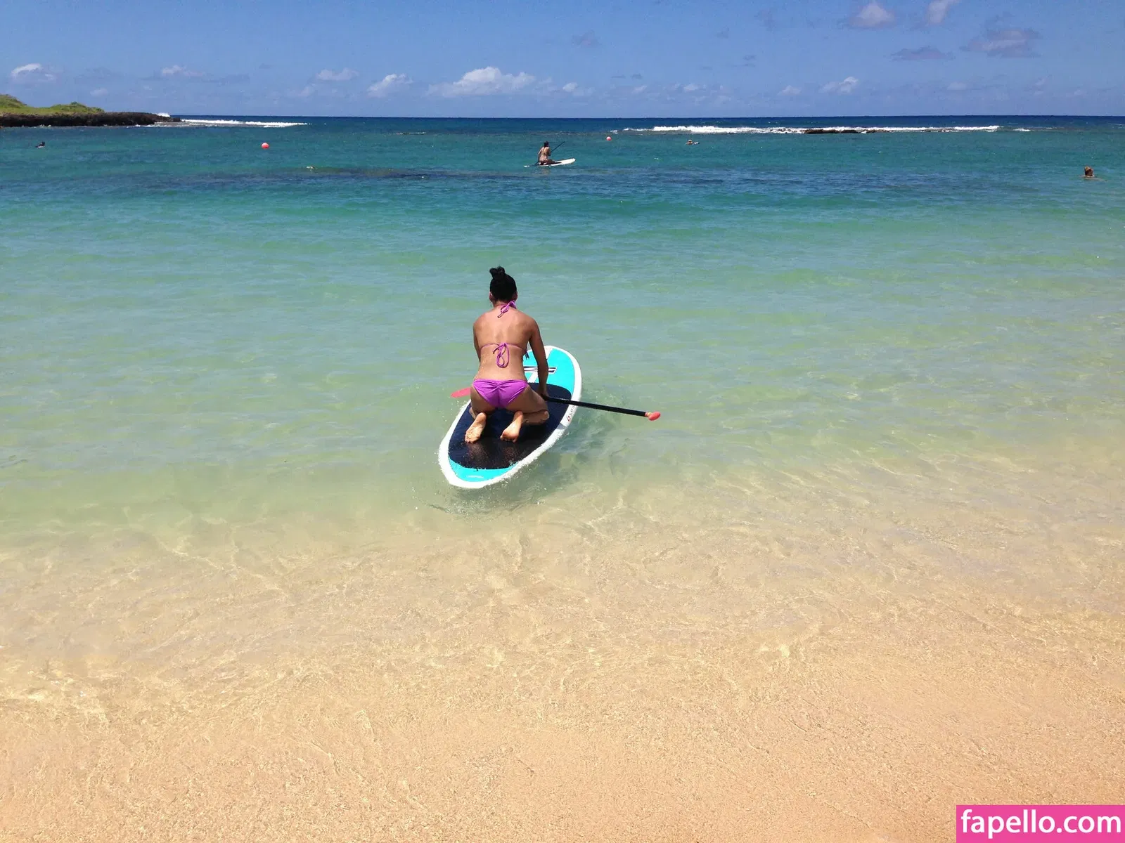 Gail Kim Onlyfans Photo Gallery 