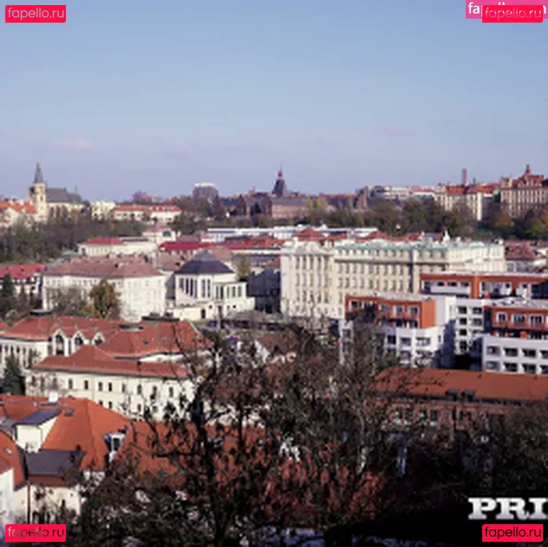 Angelika Grays Onlyfans Photo Gallery 