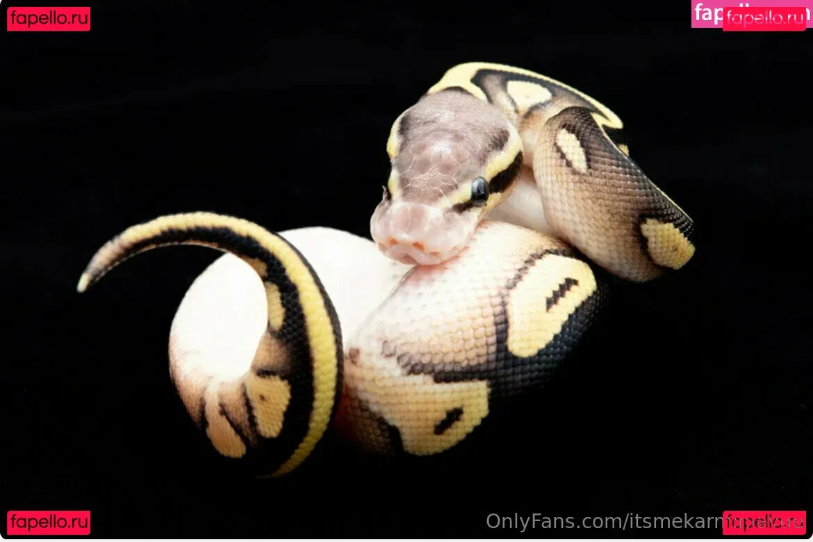 itsmekarminjayde Onlyfans Photo Gallery 