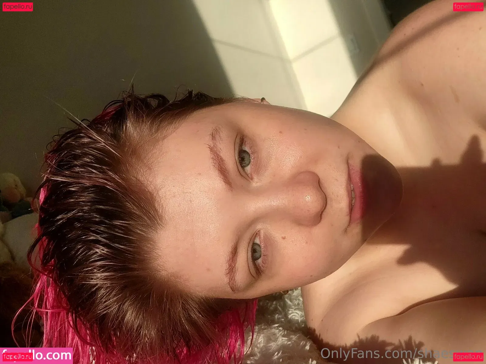 shaeswan Onlyfans Photo Gallery 