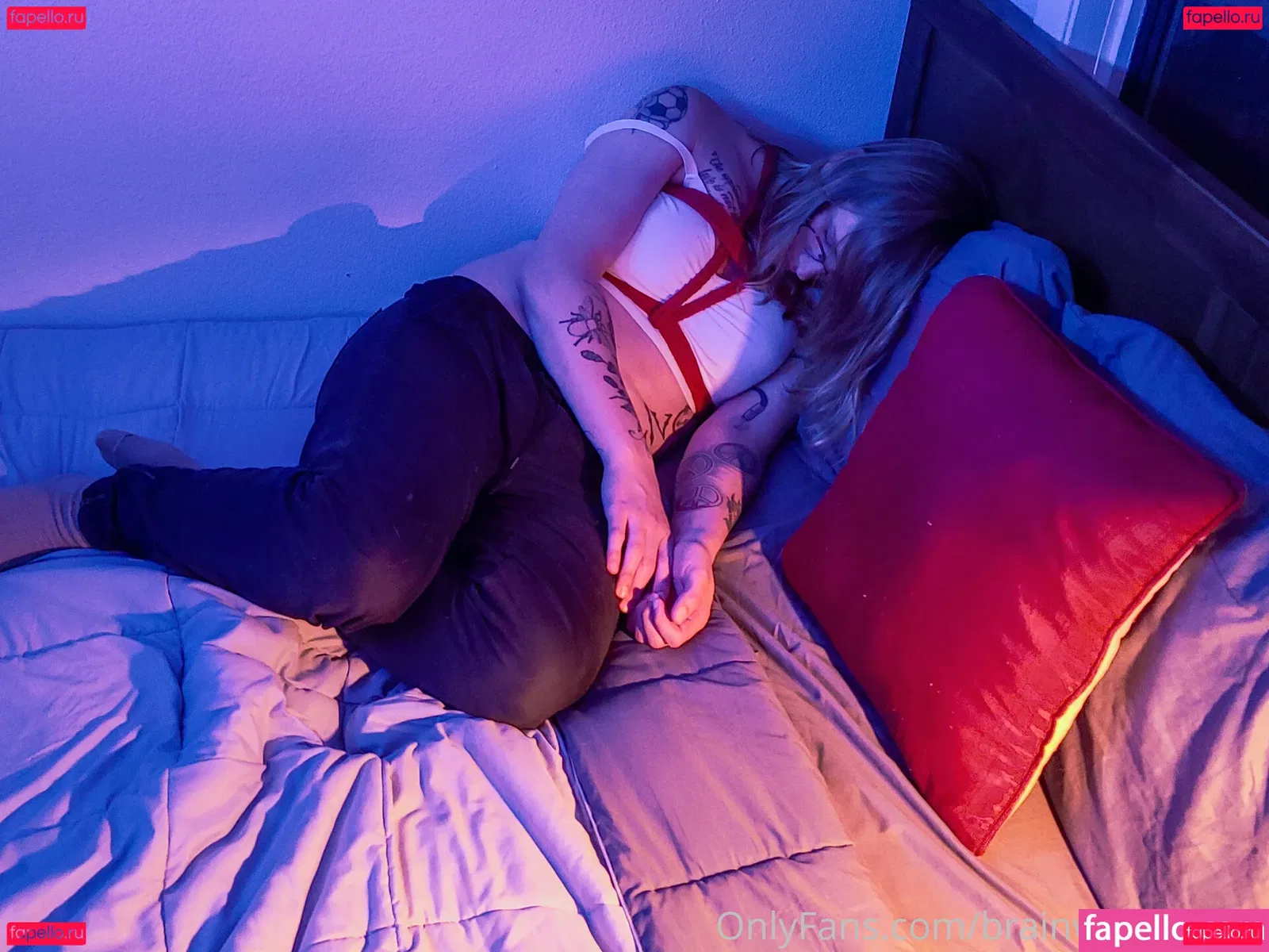 brainwashedpet Onlyfans Photo Gallery 