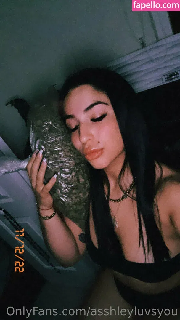 badlilshego Onlyfans Photo Gallery 