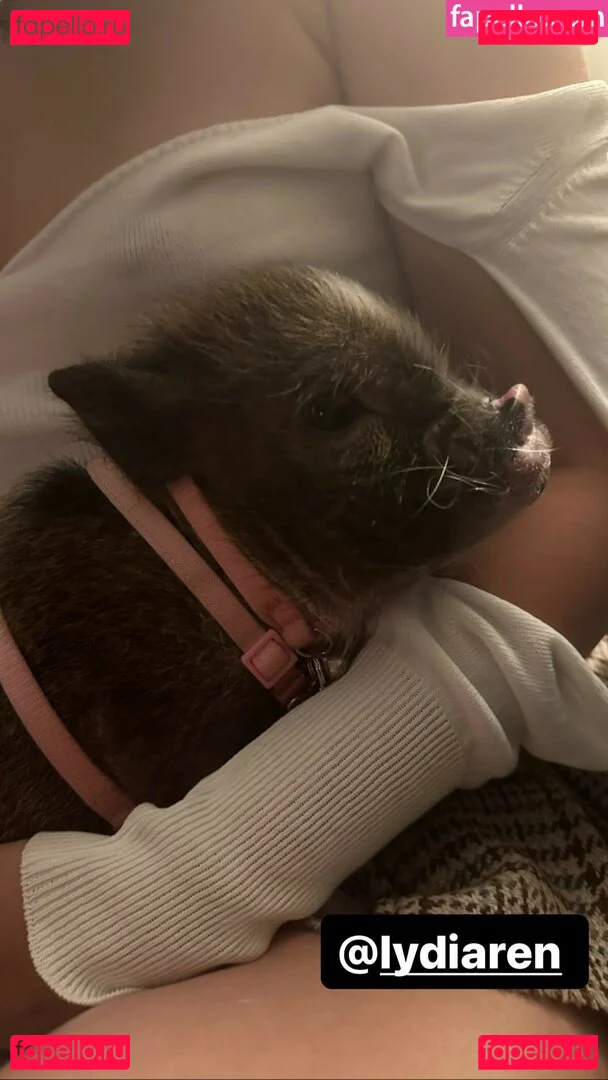 Lydiaren Onlyfans Photo Gallery 