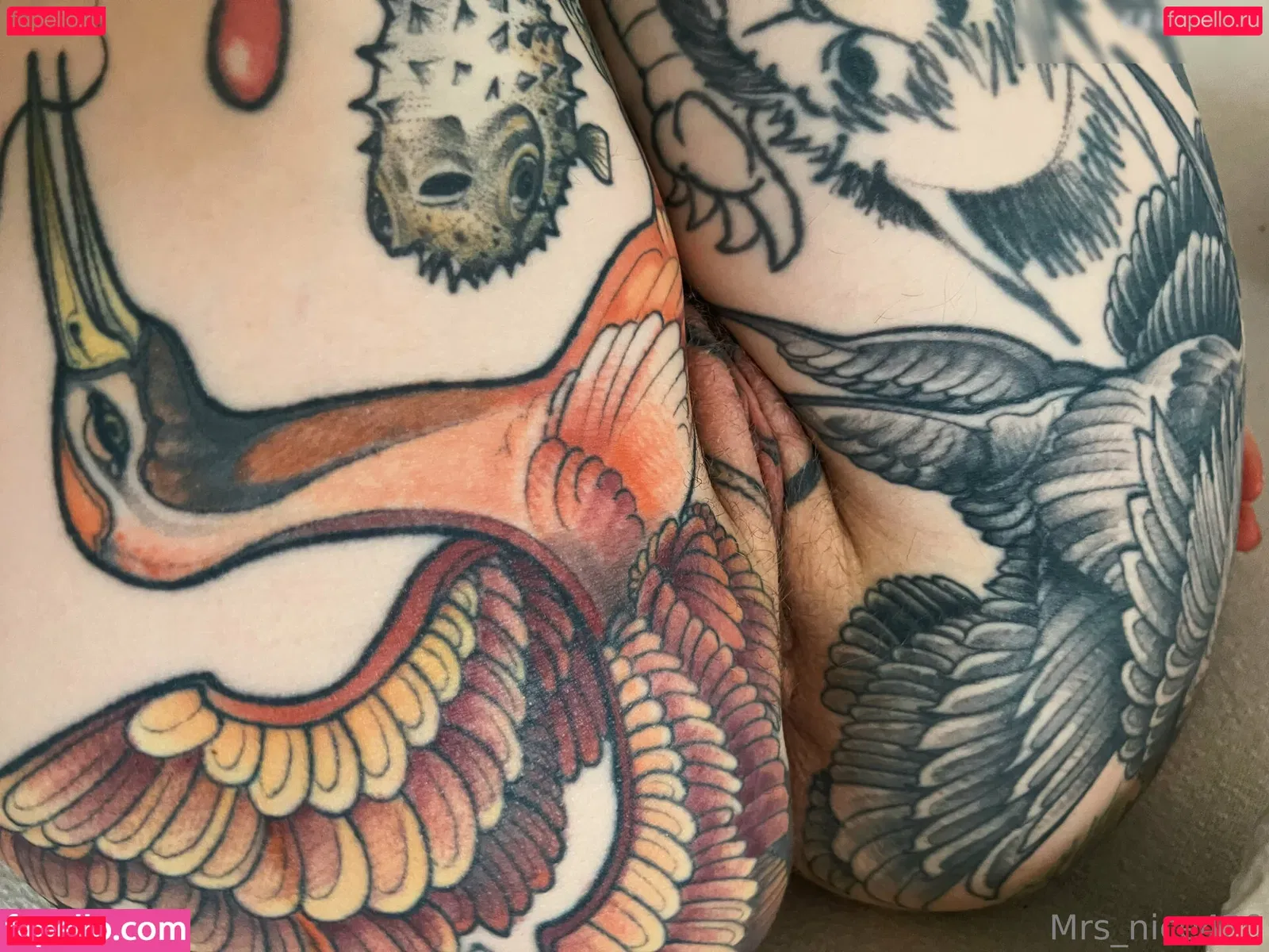 Mrs Nice Onlyfans Photo Gallery 