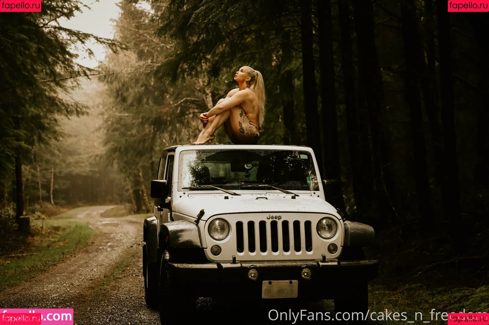 Cakes_n_freedom Onlyfans Photo Gallery 