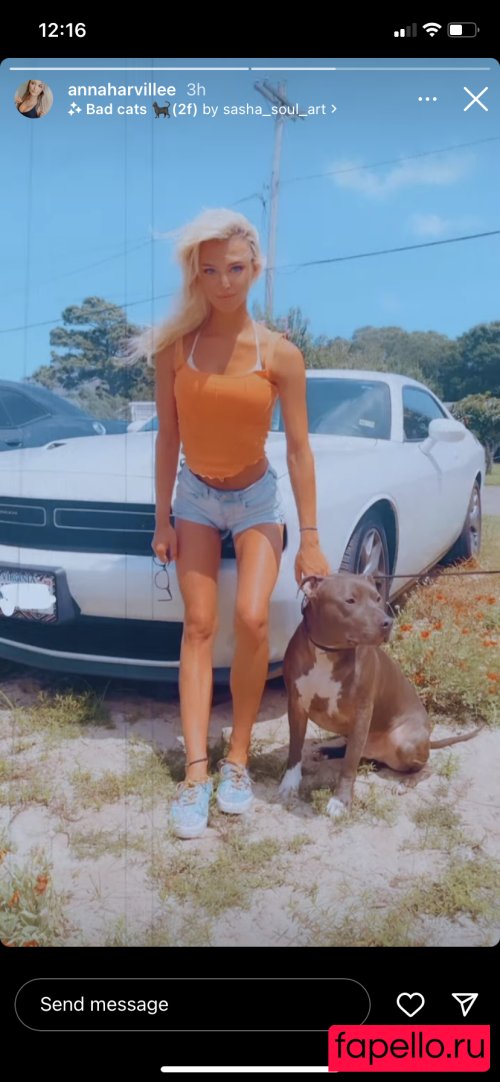 annaharvillee Nude Onlyfans Photo 48