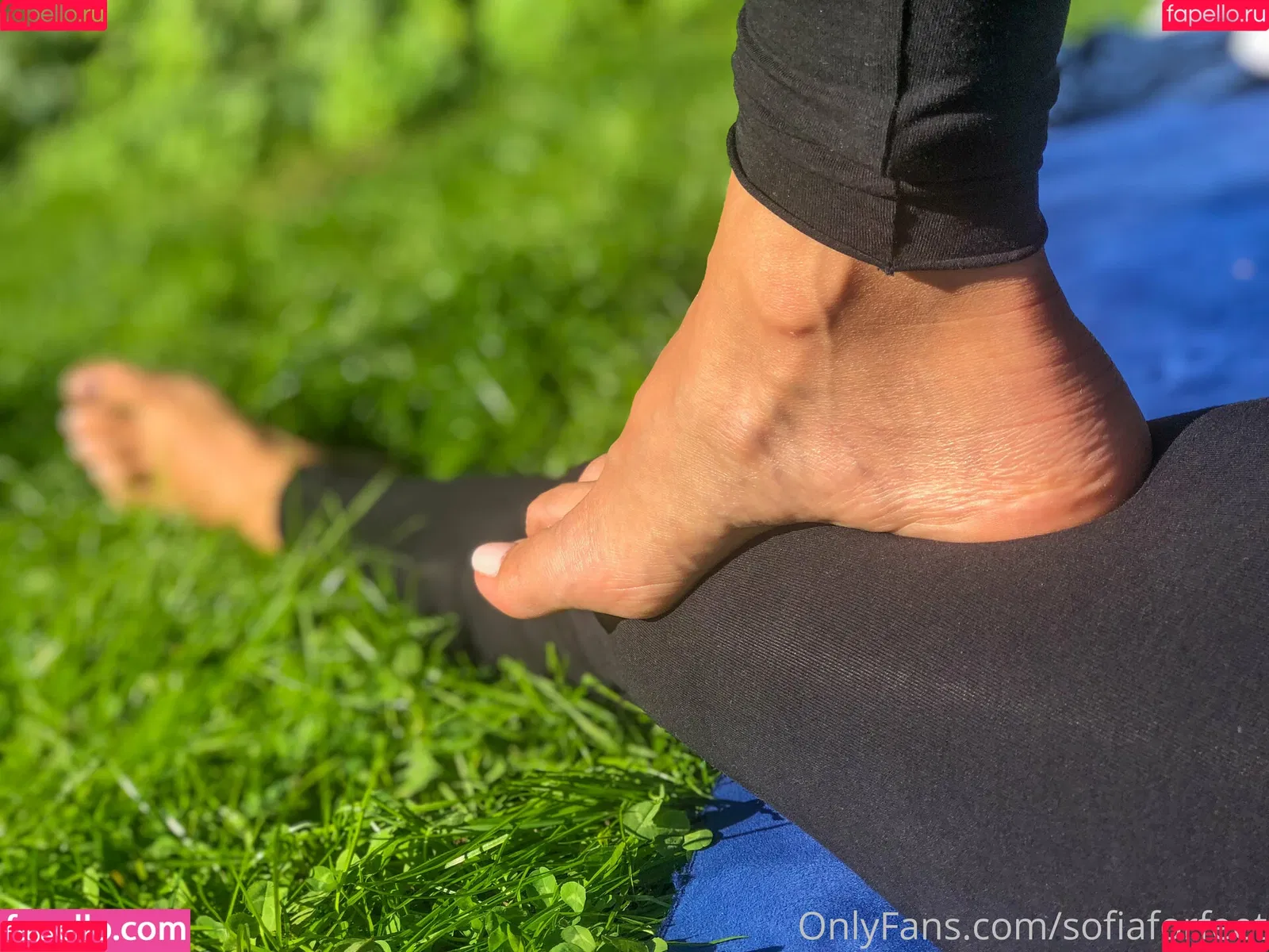 sofiaforfeet Onlyfans Photo Gallery 