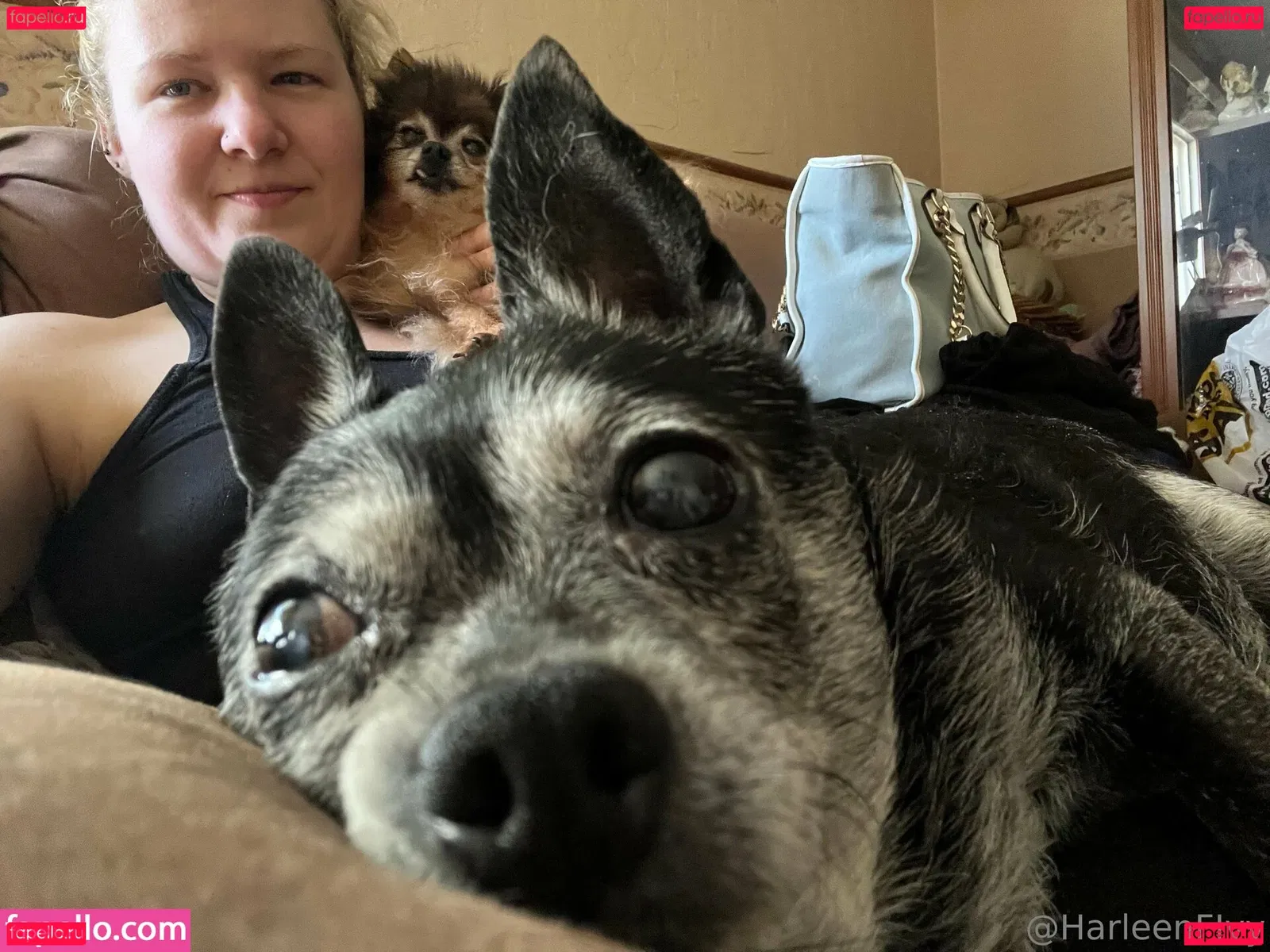 harleenivy Onlyfans Photo Gallery 