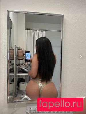 aaliyahrmorales Nude Onlyfans Photo 44