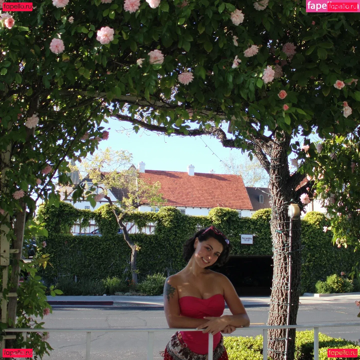 Jellyy_Bree Onlyfans Photo Gallery 