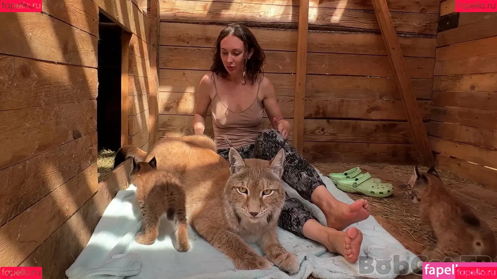 Bobcat Onlyfans Photo Gallery 
