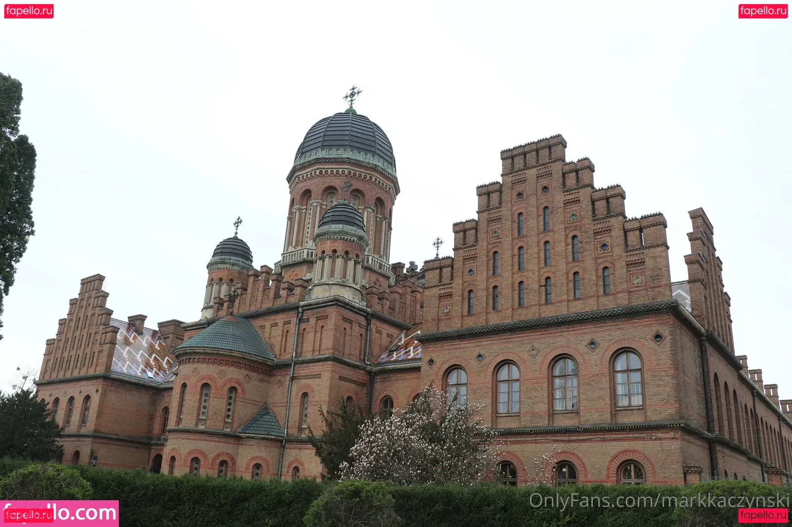 markkaczynski Onlyfans Photo Gallery 