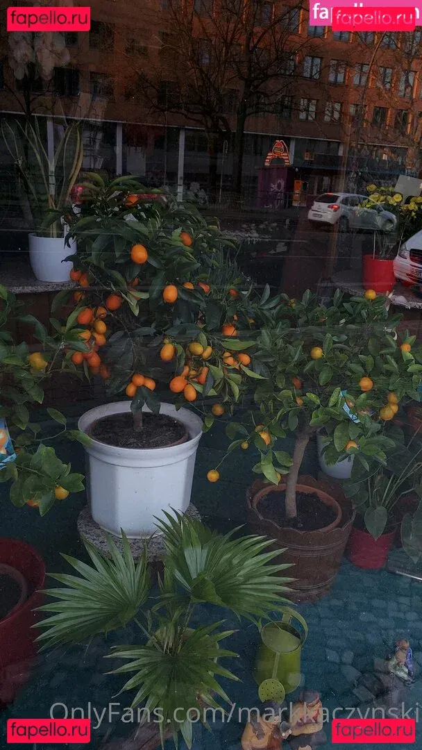 markkaczynski Onlyfans Photo Gallery 