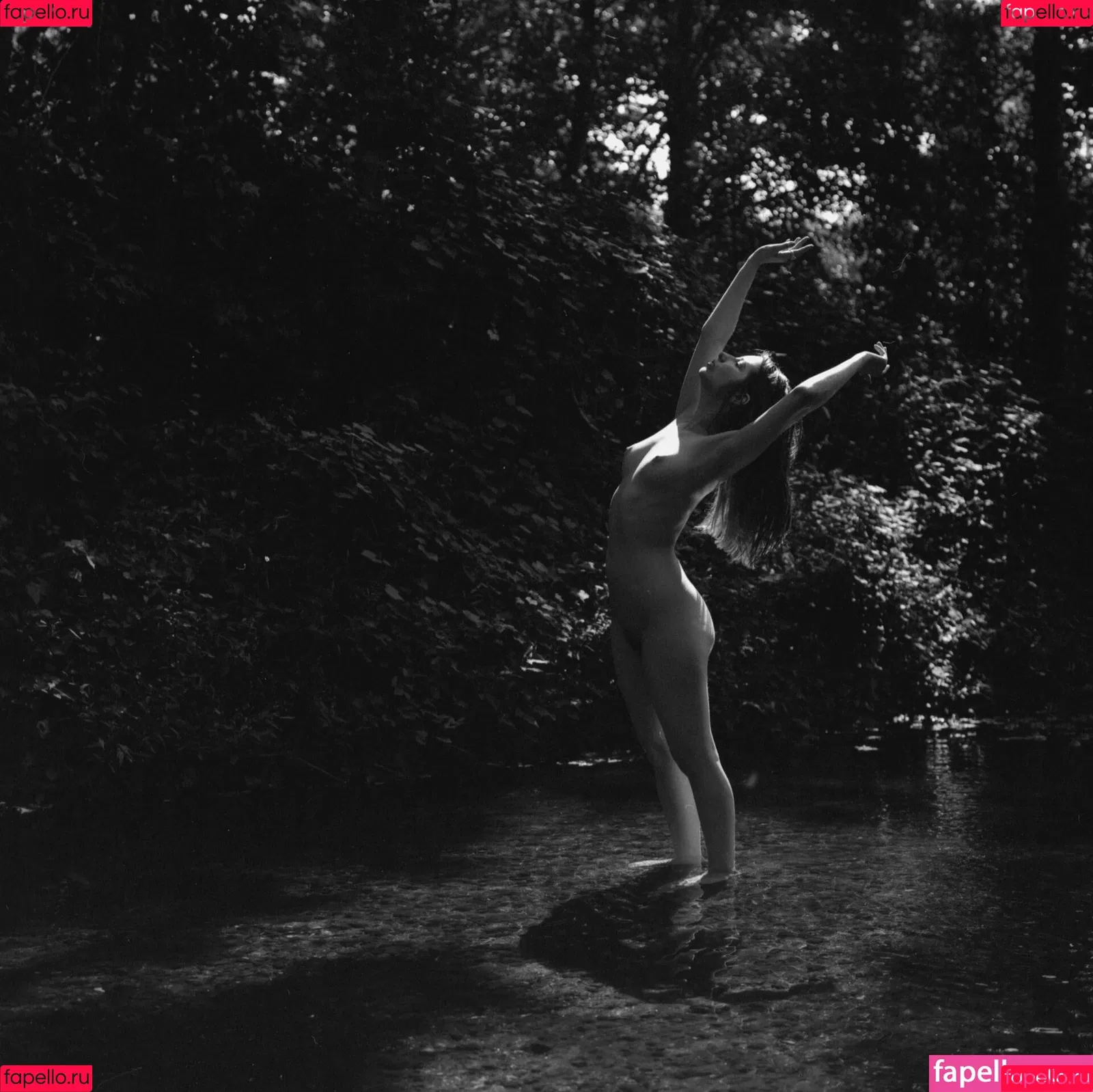 Collibrina Onlyfans Photo Gallery 