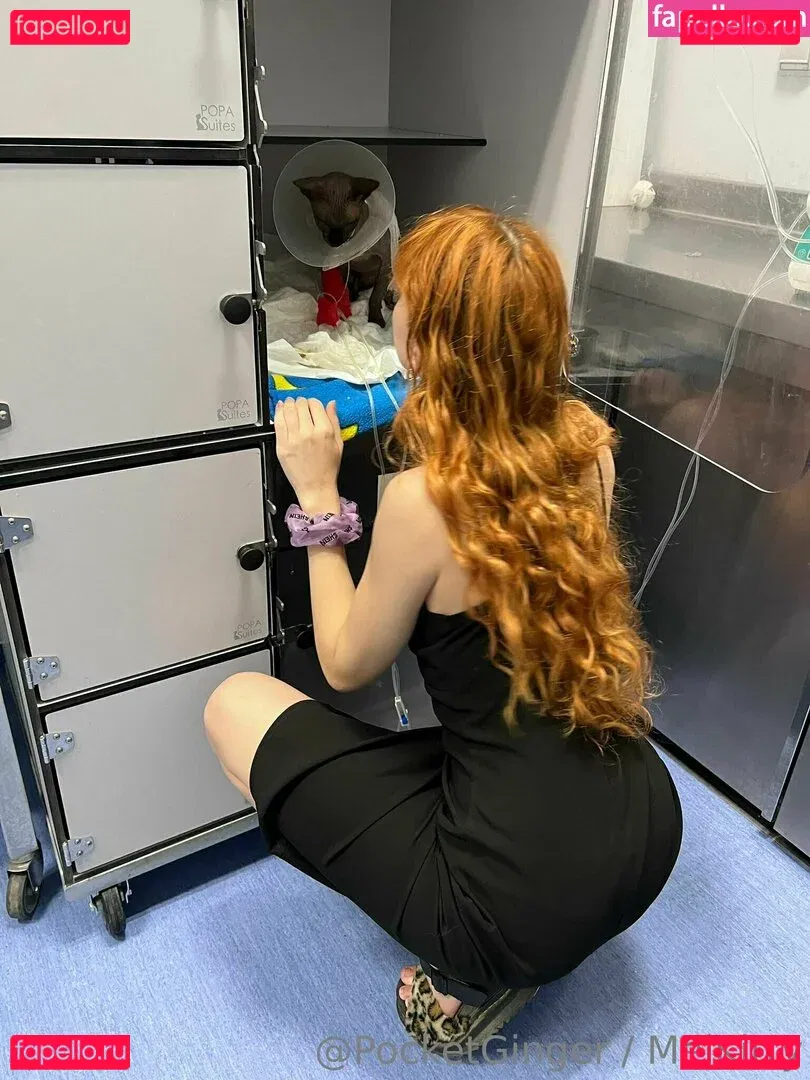 pocketginger Onlyfans Photo Gallery 