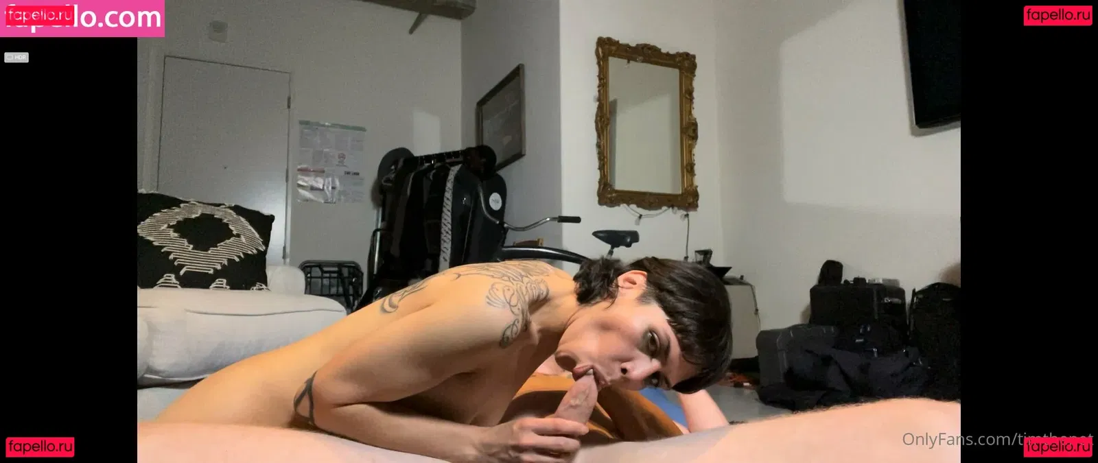 timthepet Onlyfans Photo Gallery 