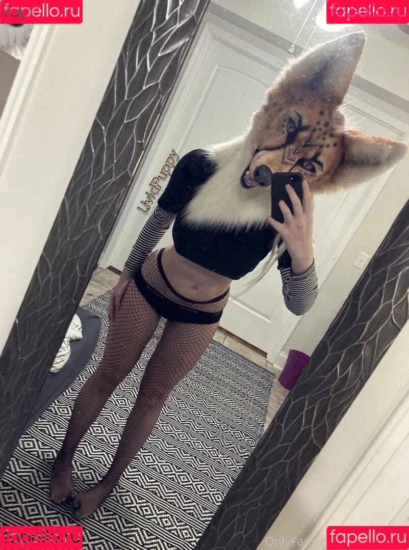 LividPuppy Onlyfans Photo Gallery 