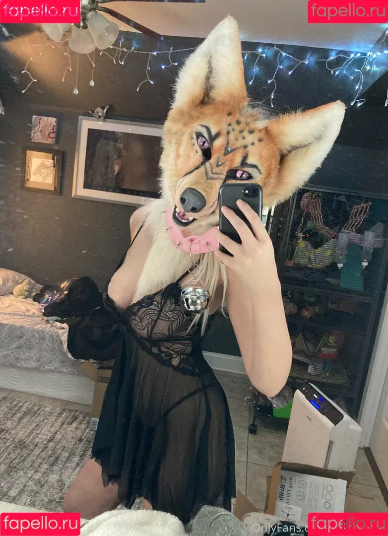 LividPuppy Onlyfans Photo Gallery 
